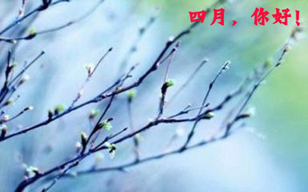 四月，你好